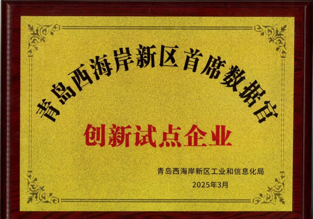 bv伟德源自英国始于1946入选新区首批首席数据官创新试点企业